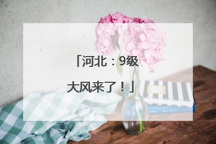 河北：9级大风来了！