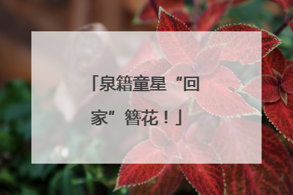 泉籍童星“回家”簪花！