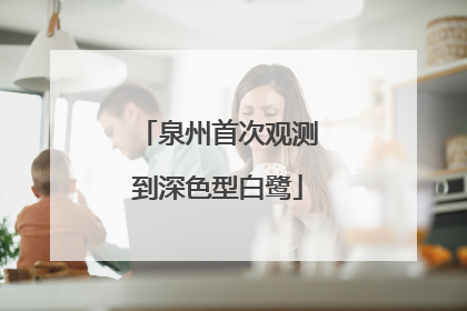 泉州首次观测到深色型白鹭