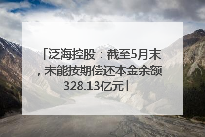 泛海控股：截至5月末，未能按期偿还本金余额328.13亿元