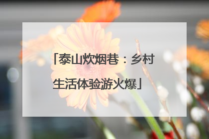 泰山炊烟巷：乡村生活体验游火爆