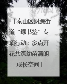 泰山区财源街道“绿书签”专项行动：多点开花共筑幼苗清朗成长空间