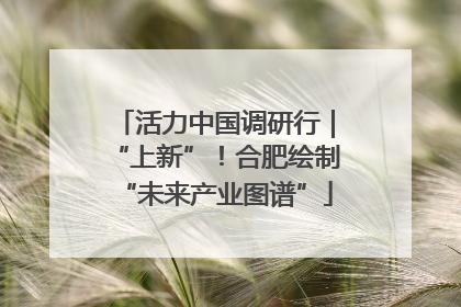 活力中国调研行｜“上新”！合肥绘制“未来产业图谱”