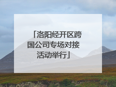 洛阳经开区跨国公司专场对接活动举行