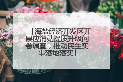 海盐经济开发区开展应消站提质升级问卷调查，推动民生实事落地落实