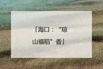 海口：“琼山福稻”香