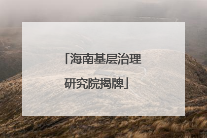 海南基层治理研究院揭牌