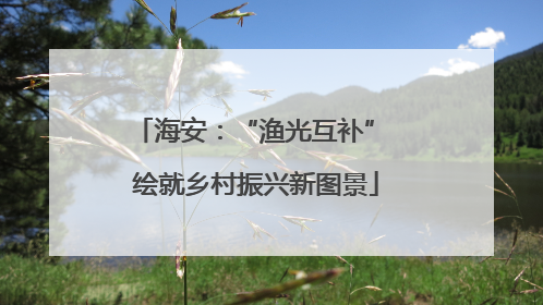 海安：“渔光互补” 绘就乡村振兴新图景
