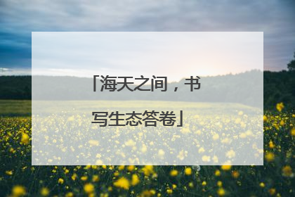 海天之间，书写生态答卷