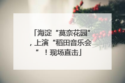 海淀“莫奈花园”，上演“稻田音乐会”！现场直击