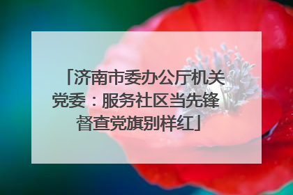 济南市委办公厅机关党委：服务社区当先锋 督查党旗别样红