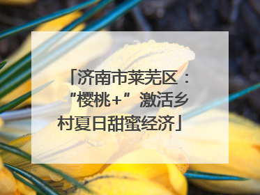 济南市莱芜区：“樱桃+”激活乡村夏日甜蜜经济