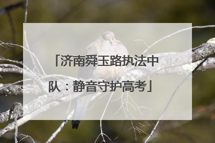 济南舜玉路执法中队：静音守护高考