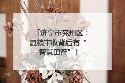 济宁市兖州区：夏粮丰收背后有“智慧田管”