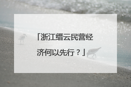 浙江缙云民营经济何以先行？