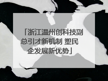 浙江温州创科技副总引才新机制 塑民企发展新优势