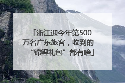 浙江迎今年第500万名广东旅客，收到的“锦鲤礼包”都有啥