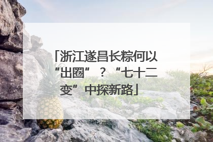 浙江遂昌长粽何以“出圈”？“七十二变”中探新路