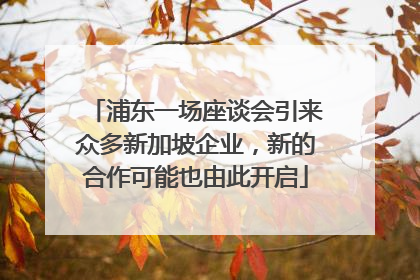 浦东一场座谈会引来众多新加坡企业，新的合作可能也由此开启