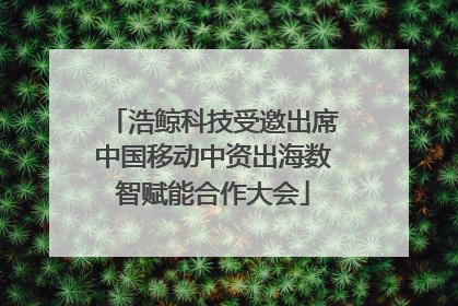 浩鲸科技受邀出席中国移动中资出海数智赋能合作大会