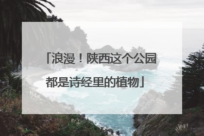 浪漫！陕西这个公园都是诗经里的植物