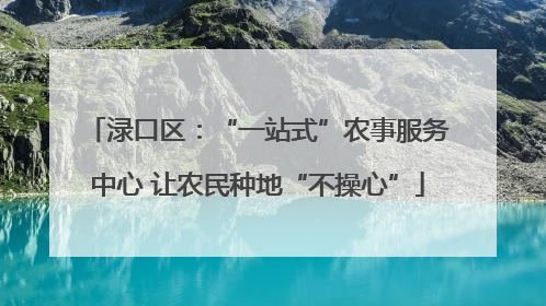 渌口区：“一站式”农事服务中心 让农民种地“不操心”