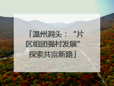 温州洞头：“片区组团强村发展”探索共富新路