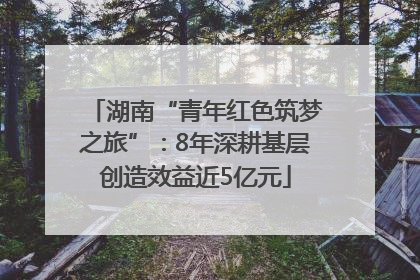 湖南“青年红色筑梦之旅”：8年深耕基层创造效益近5亿元