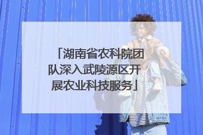 湖南省农科院团队深入武陵源区开展农业科技服务