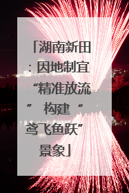 湖南新田：因地制宜“精准放流” 构建“鸢飞鱼跃”景象