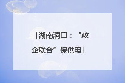 湖南洞口：“政企联合”保供电