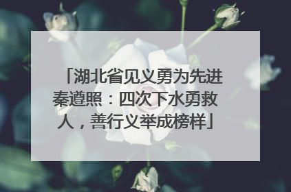 湖北省见义勇为先进秦遵照：四次下水勇救人，善行义举成榜样