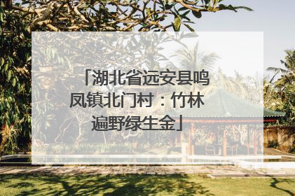 湖北省远安县鸣凤镇北门村：竹林遍野绿生金