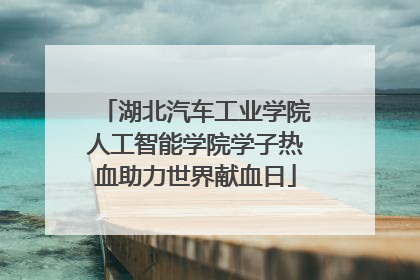 湖北汽车工业学院人工智能学院学子热血助力世界献血日