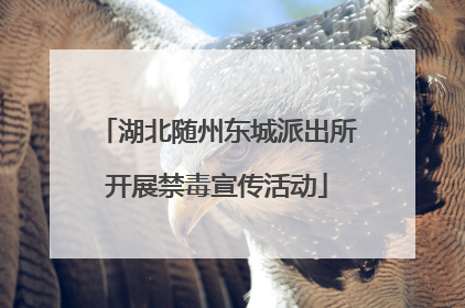 湖北随州东城派出所开展禁毒宣传活动