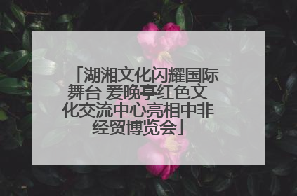 湖湘文化闪耀国际舞台 爱晚亭红色文化交流中心亮相中非经贸博览会