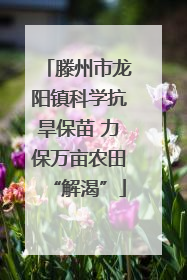 滕州市龙阳镇科学抗旱保苗 力保万亩农田“解渴”
