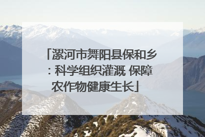 漯河市舞阳县保和乡：科学组织灌溉 保障农作物健康生长