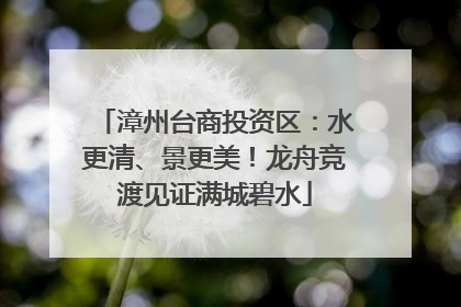 漳州台商投资区：水更清、景更美！龙舟竞渡见证满城碧水