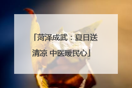 菏泽成武：夏日送清凉 中医暖民心