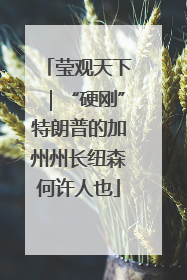 莹观天下｜“硬刚”特朗普的加州州长纽森何许人也