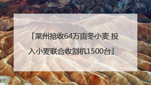 莱州抢收64万亩冬小麦 投入小麦联合收割机1500台