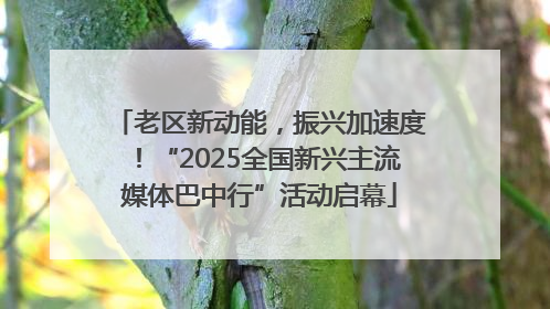 老区新动能，振兴加速度！“2025全国新兴主流媒体巴中行”活动启幕