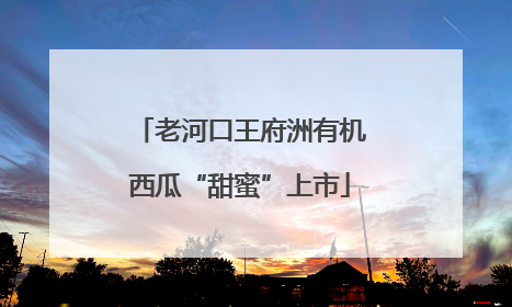 老河口王府洲有机西瓜“甜蜜”上市