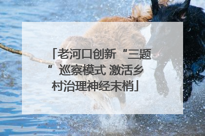 老河口创新“三题”巡察模式 激活乡村治理神经末梢
