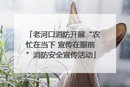 老河口消防开展“农忙在当下 宣传在眼前”消防安全宣传活动