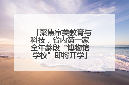 聚焦审美教育与科技，省内第一家全年龄段“博物馆学校”即将开学
