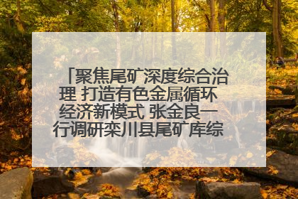 聚焦尾矿深度综合治理 打造有色金属循环经济新模式 张金良一行调研栾川县尾矿库综合治理工作