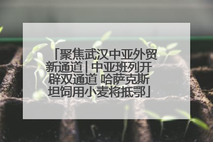 聚焦武汉中亚外贸新通道│中亚班列开辟双通道 哈萨克斯坦饲用小麦将抵鄂