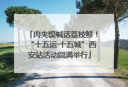 肉夹馍喊话荔枝鲜！“十五运·十五城”西安站活动圆满举行